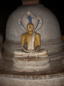 11_temple_cave_buddha_cobra